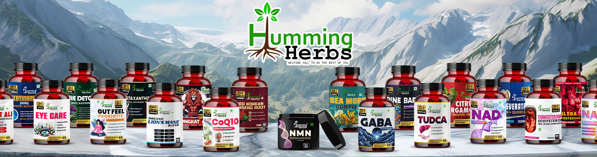 Daily Wellness with Herbs